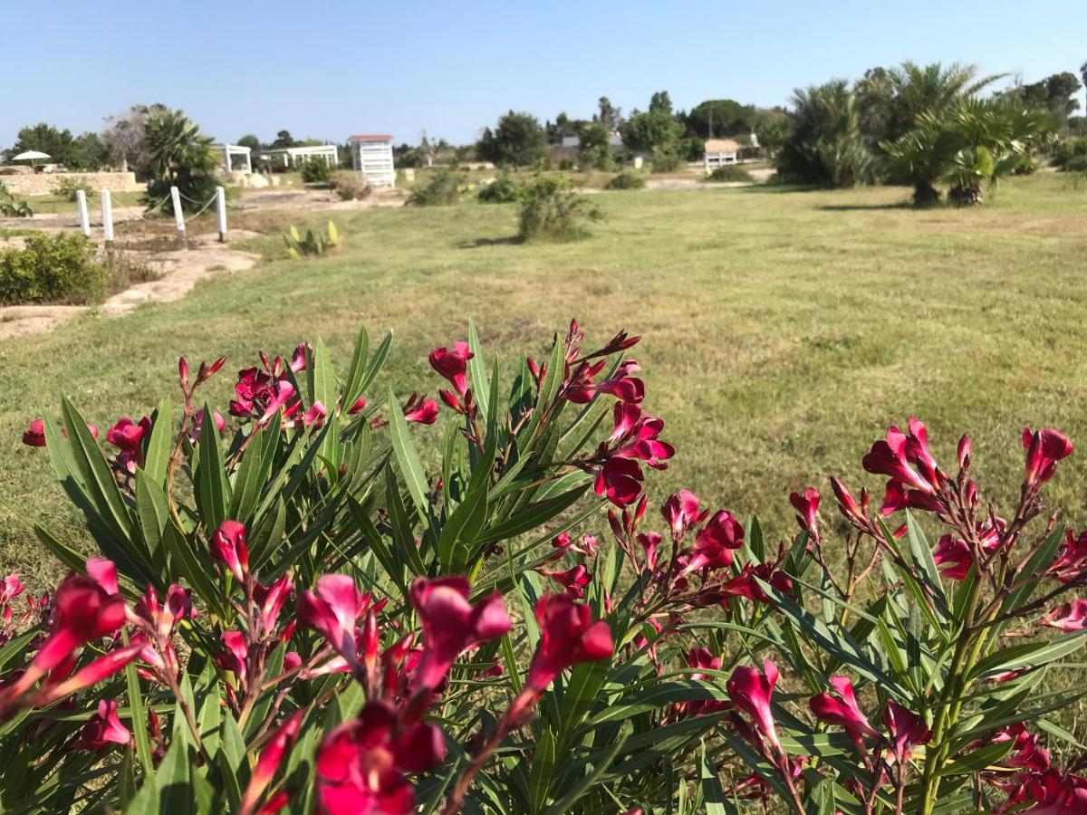 טורה קיאנקה Masseria Gelsi מראה חיצוני תמונה