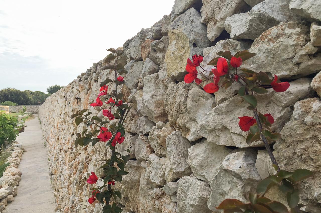 טורה קיאנקה Masseria Gelsi מראה חיצוני תמונה