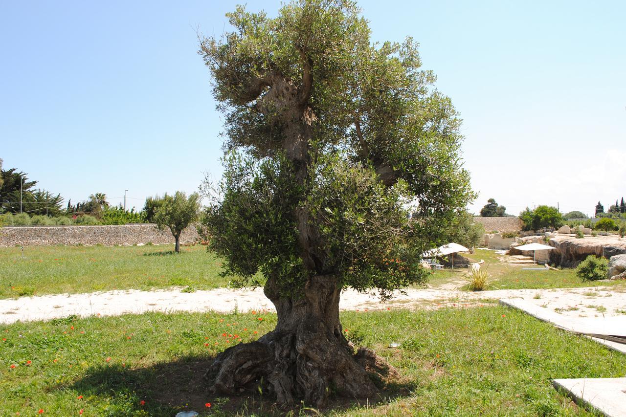 טורה קיאנקה Masseria Gelsi מראה חיצוני תמונה