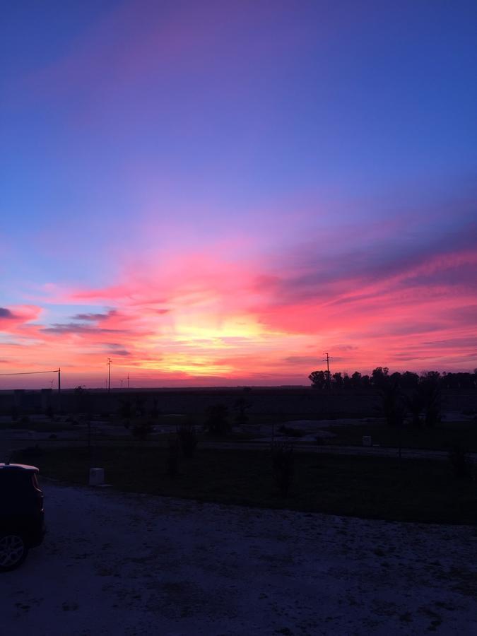 טורה קיאנקה Masseria Gelsi מראה חיצוני תמונה