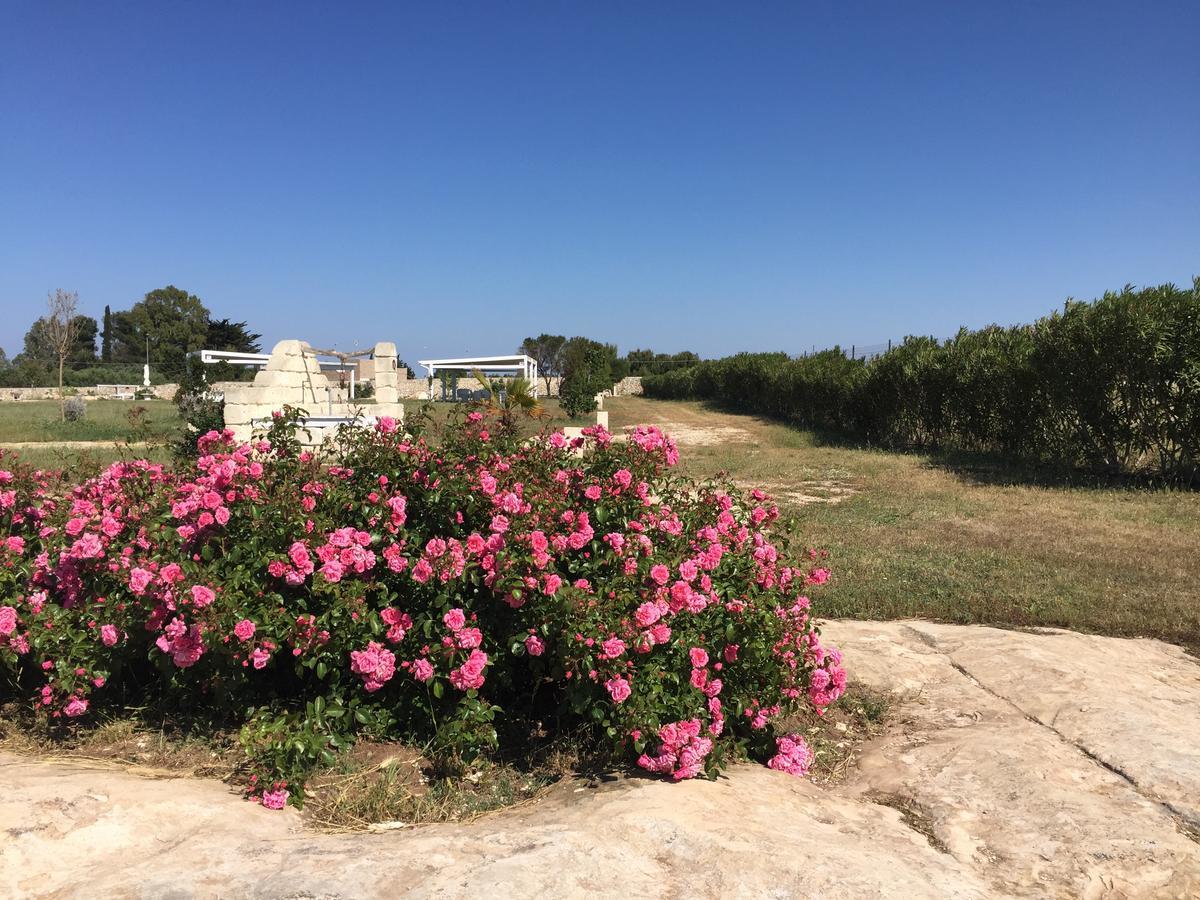 טורה קיאנקה Masseria Gelsi מראה חיצוני תמונה