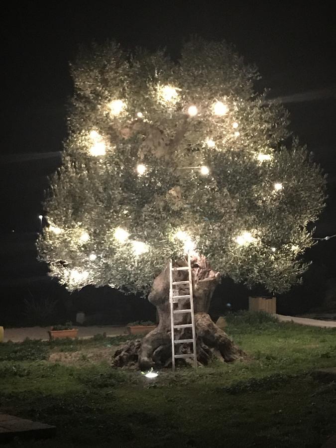 טורה קיאנקה Masseria Gelsi מראה חיצוני תמונה