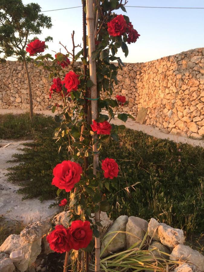 טורה קיאנקה Masseria Gelsi מראה חיצוני תמונה